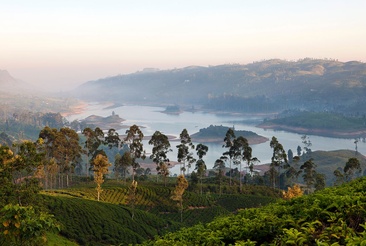 Ceylon Tea Trails