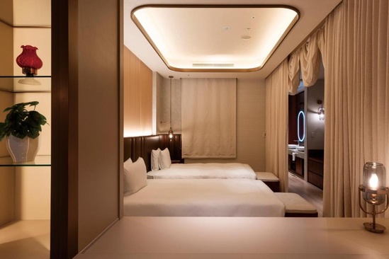 Hotel Springs Makuhari Premier