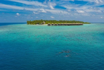 Filitheyo Island Resort