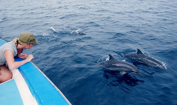 Bandos Maldives