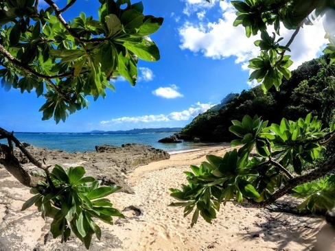 Ocean View Ishigaki