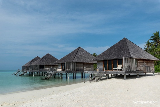 Gangehi Island Resort