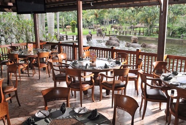 Mason Elephant Park & Lodge