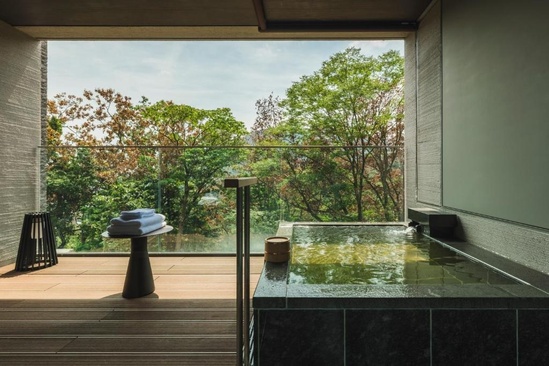 Hakone Gora Karaku