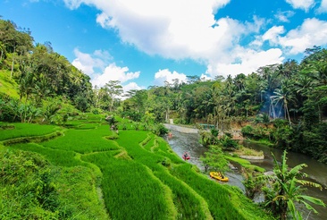 Jungle Retreat Ubud