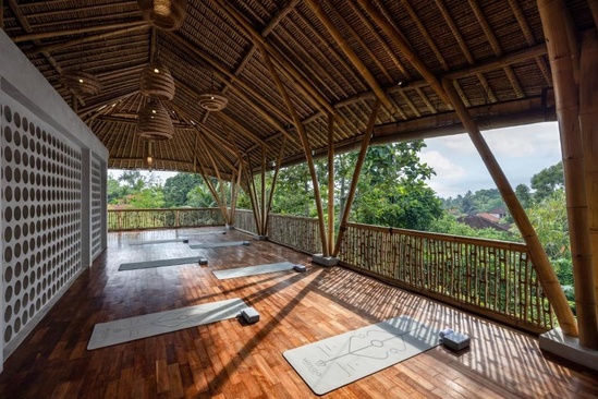 Dinara Ubud Hotel