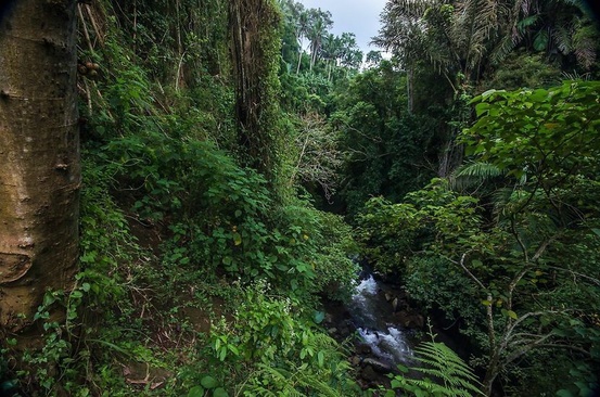 Udhiana Resort Ubud