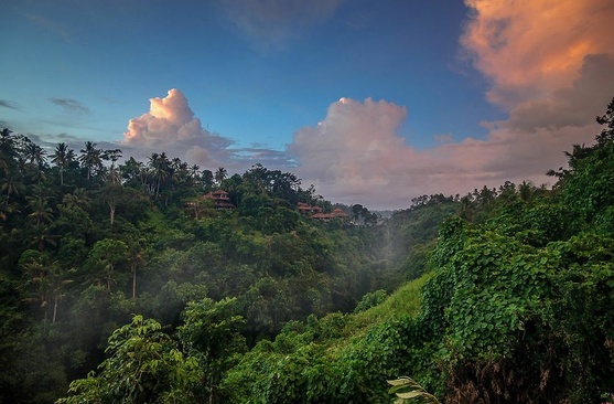 Udhiana Resort Ubud