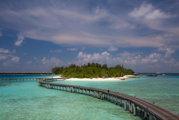 Coco Bodu Hithi