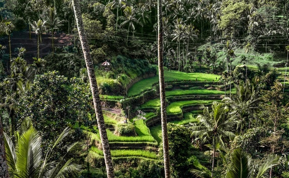 Amandari Ubud Boutique