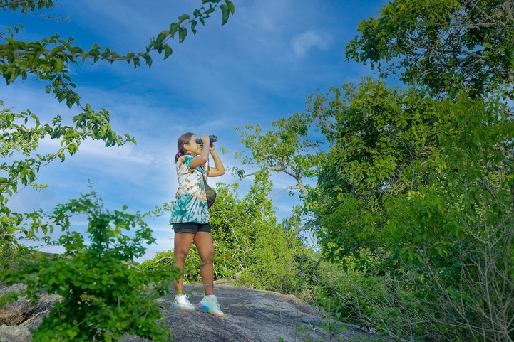Leopard Nest In Yala