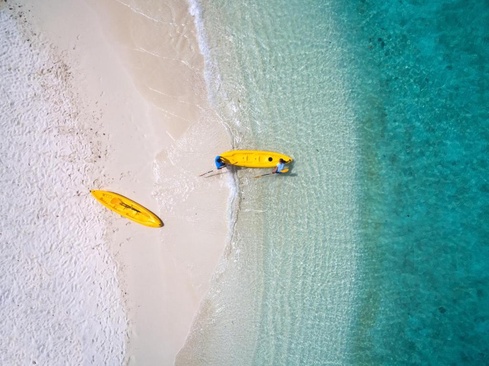 Plumeria Maldives