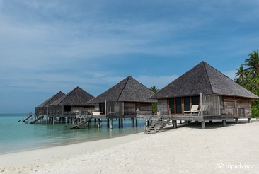 Gangehi Island Resort