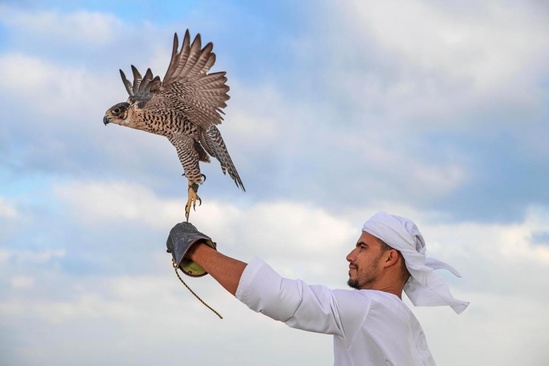 Anantara Sir Bani Yas Island Al Yamm Villa Resort