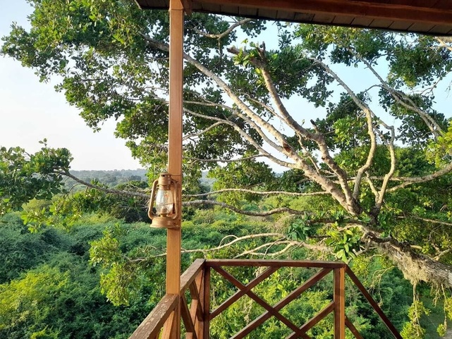 Leopard Nest In Yala