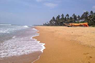 The Taprobana Wadduwa