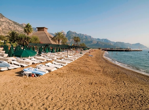 Gypsophila Club Marine