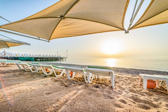 Gypsophila Club Marine