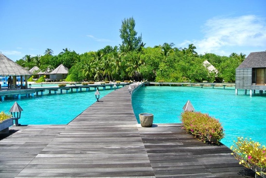 Gangehi Island Resort