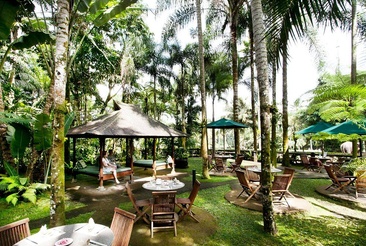 Mason Elephant Park & Lodge