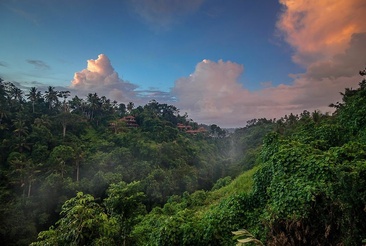 Udhiana Resort Ubud