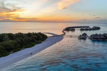 Coco Bodu Hithi