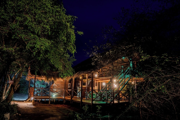 Leopard Nest In Yala