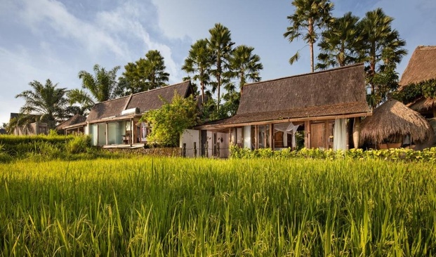 Blue Karma Dijiwa Ubud