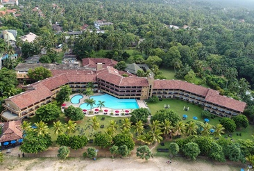 The Palms