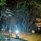 Leopard Nest In Yala
