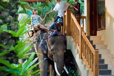 Mason Elephant Park & Lodge
