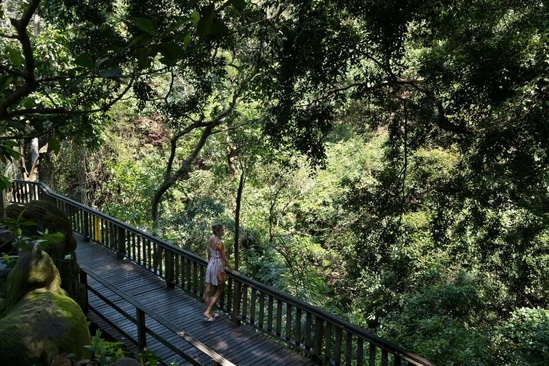 Adiwana Monkey Forest