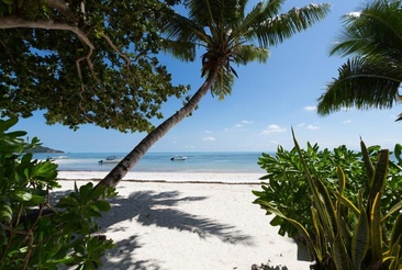 Palm Royal Luxury Villas