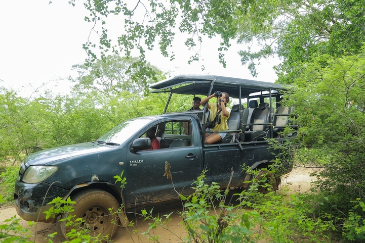 Leopard Nest In Yala