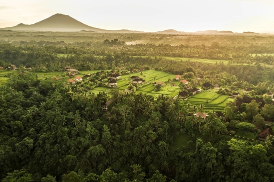 Como Uma Ubud