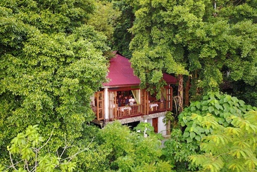 Ambong-Ambong Langkawi Rainforest Retreat