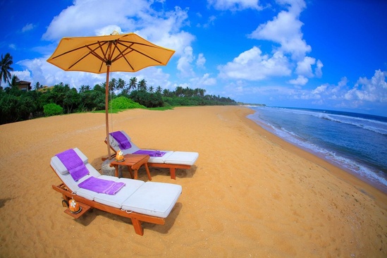 Aditya Resort