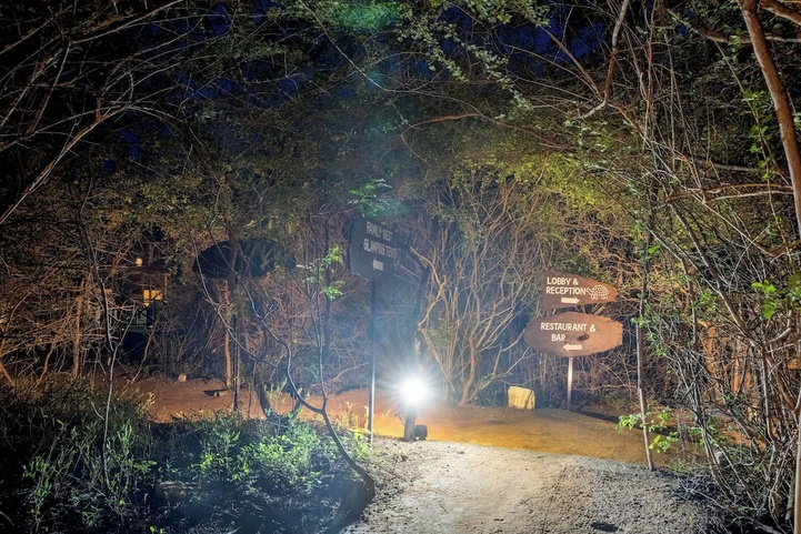 Leopard Nest In Yala