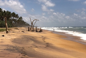 The Taprobana Wadduwa