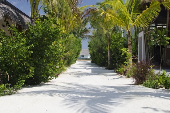 Ozen Reserve Bolifushi