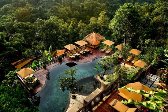 Nandini Jungle By Hanging Gardens