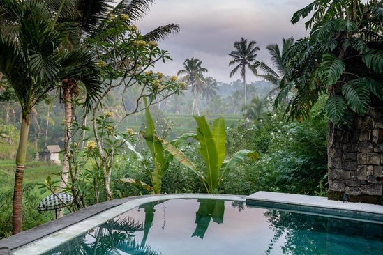 Nau Villa Ubud