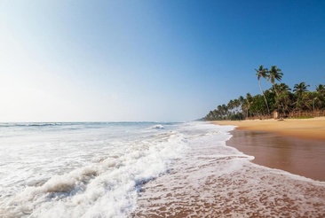 Siddhalepa Ayurveda Health Resort Wadduwa