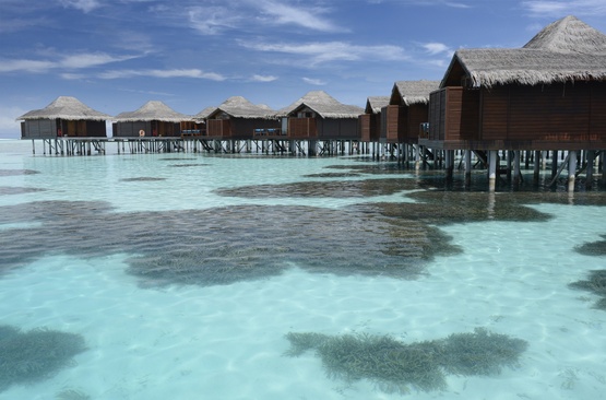 Anantara Veli Maldives