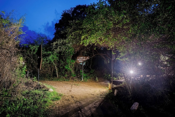 Leopard Nest In Yala