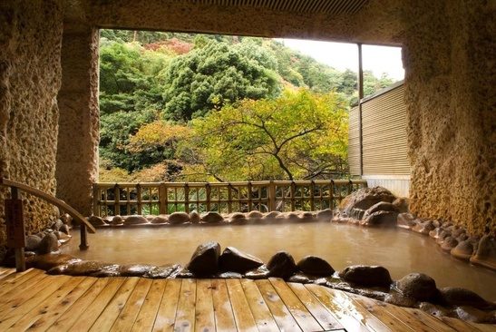 Arima Gekkoen Kourokan Hotel