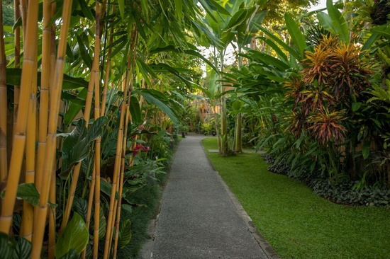 Komaneka At Bisma Ubud