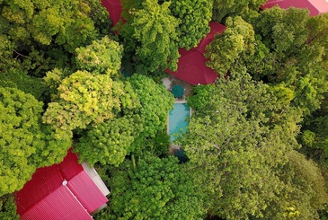 Ambong-Ambong Langkawi Rainforest Retreat