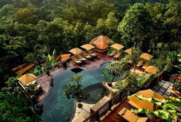 Nandini Jungle By Hanging Gardens
