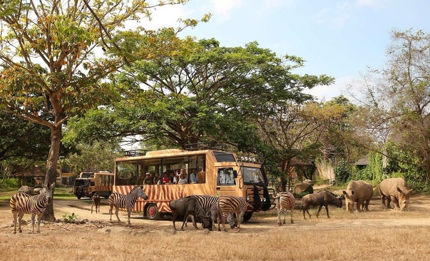 Mara River Safari Lodge Bali